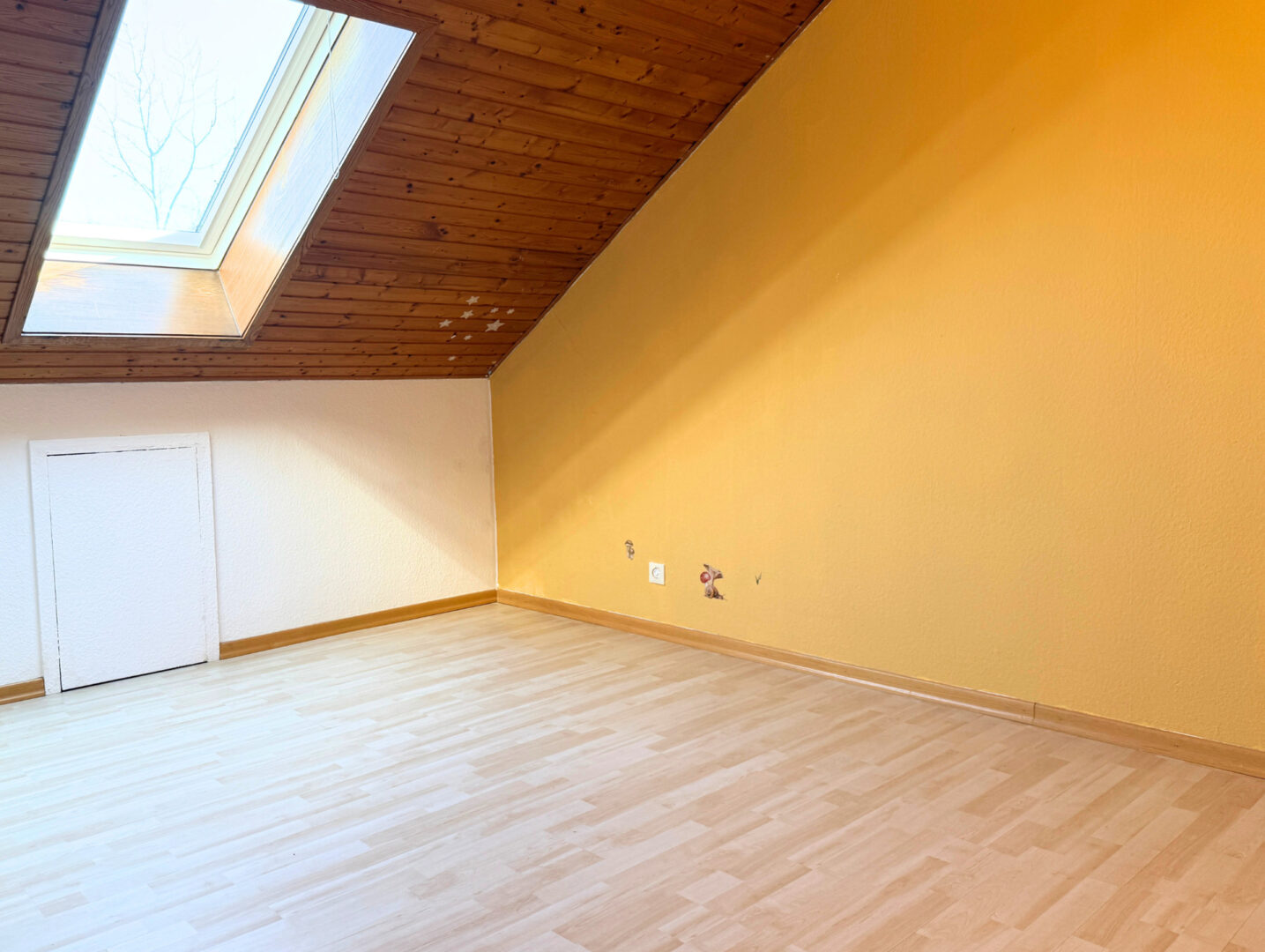 Zimmer DG