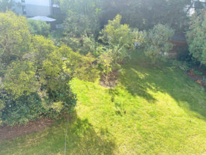 Blick vom Schlafzimmer in den Garten