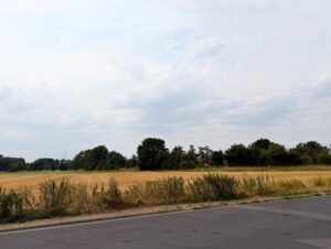 Umgebung